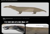 Isn't it beautiful? ??? qwexxx @xxxqqa·9/19/26 可探索的新點子 Edmonds Jonkeria haughtoni Guadalup South Afr