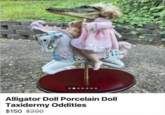 Alligator Doll Porcelain Doll Taxidermy Oddities $150 $200