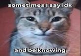 sometimes I say idk and be knowing
