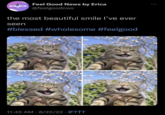 FEEL GOOD Feel Good News by Erica @feelgoodnws the most beautiful smile I've ever seen #blessed #wholesome #feelgood 11:45 AM - 8/22/22 - IFTTT