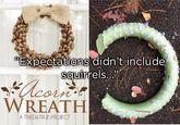 "Expectations didn't include squirrels... Acorn WREATH A TRIED&TRUE PROJECT