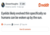 Showerthoughts + Join reddit Posted by Zaenille 13 days ago Eyelids likely evolved thin specifically so humans can be woken up by the sun. 4.3K upvotes Comment Copy link View 83 comments