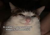 In case no one told you today, I'm beautiful