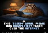 THIS 'SLEEPY QUAIL' MEME HAS COMPLETELY TAKEN OVER THE INTERNET Q 179 385 ☑ Σ