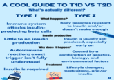 A COOL GUIDE TO T1D VS T2D What's actually different? What happens? TYPE 1 Immune system attacks insulin- producing beta cells TYPE 2 Body becomes resistant to insulin and/or doesn't make enough Insulin production Little to no insulin HHHH production Insulin is usually still produced, especially early on Why does it happen? Autoimmune reaction; exact trigger isn't fully understood Treatment Insulin is required 4 Caused by a combination of genetics, biology, and environmental factors Lifestyle changes, medications, and/or insulin insulin AF