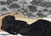 www. E 13 M GODZILLA 505 уски