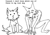 fuuuuck i dont know which one of these is my real dog