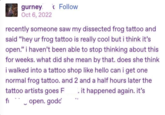 gurney < Follow Oct 6, 2022 recently someone saw my dissected frog tattoo and said "hey ur frog tattoo is really cool but i think it's open." i haven't been able to stop thinking about this for weeks. what did she mean by that. does she think i walked into a tattoo shop like hello can i get one normal frog tattoo. and 2 and a half hours later the tattoo artists goes F .it happened again. it's fi _ open. godd 3