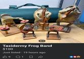 Taxidermy Frog Band $100 Just listed ⚫ 19 hours ago 9 Q1