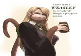Leave it to a WEASLEY to completely bungle a polyjuice potion