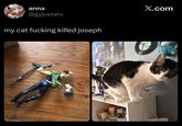 anna @gyjostars my cat f------ killed joseph X.com
