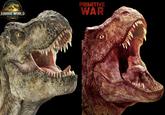 JURASSIC WORLD REBIRTH PRIMITIVE WAR