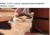 Me: I'm very approachable. Also me: