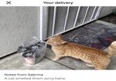 ✓ Your delivery KRAK IT resu VICTORY EGETABLES Notes from Sabrina A cat smelled them sorry haha
