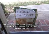 CHILD SUPPORT My neighbor's cat got my cat pregnant. I woke up to this on my porch
