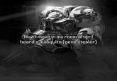 Howl move in my room after ! heard a mosquito (gene stealer)