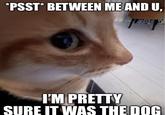 *PSST* BETWEEN ME AND U, Rong D I'M PRETTY SURE IT WAS THE DOG