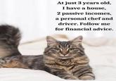 At just 3 years old, I have a house, 2 passive incomes, a personal chef and driver. Follow me for financial advice.