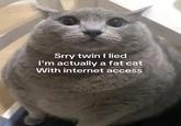 Srry twin I lied I'm actually a fat cat With internet access