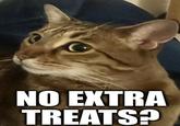 NO EXTRA TREATS?