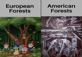 European American Forests Forests