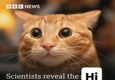 BBC NEWS Scientists reveal the Hi