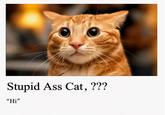 Stupid Ass Cat, ??? "Hi"