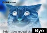 BBC NEWS Scientists reveal the Bye