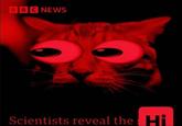 BBC NEWS Scientists reveal the Hi