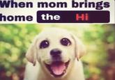 When mom brings home the Hi