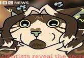 BC NEWS M N myn cientists reveal the secre