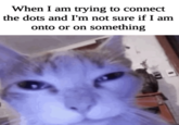 When I am trying to connect the dots and I'm not sure if I am onto or on something