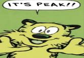 Recurring image used in response to posts on r/okbuddyrosalyn.