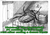imgflip.com Buthang Pictured: The Mantisfolk PC settling in for a long rest after eating a dozen beets