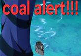 coal alert!!!