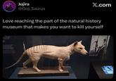 Jojira @Goji_Saurus X.com Love reaching the part of the natural history museum that makes you want to kill yourself Marsipulia Jarmorphia Thjacndae Anto inct Tacino cazado en 1869 Thylacine shot in 1869