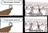 We bought Alaska It has gold and oil Americans Americans SPGRAFO