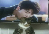 CATLOVERSCLUB