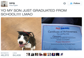 serg @surrgee * YO MY SON JUST GRADUATED FROM SCHOOL!!!!! RETWEETS LIKES 46,372 64,408 Follow PETSMART Certificate of Achievement This certifies that Goose has successfully completed all requirements necessary to complete Puppy Education Sponsored By the PetSmart Pet Training Program April 20,2016