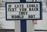 IF CATS COULD TEXT YOU BACK THEY WOULD NOT oring