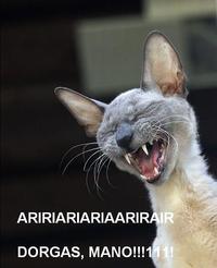 ARIRIARIARIAARIR AIR DORGAS, MANO!!!1