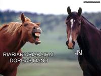 RIARIARIARIARAIRA DORGAS MANO