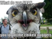 What do yoT vou fogot the chiken muggets ICANHASCHEEZBURGER.COM '$浶