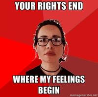 YOUR RIGHTS END WHERE MY FEELINGS BEGIN memegenerator.net