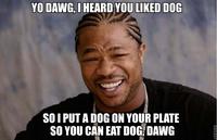 YO DAWG,I HEARD YOU LIKED DOG SO I PUTA DOG ON YOUR PLATE SO YOU CAN EAT DOG DAWG