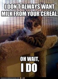 UDONTALWAYS WANT MILKFROM YOUR CEREAL OH WAIT, l DO