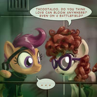 THCOOTALOO, DO YOU THINK LOVE CAN BLOOM ANYWHERE? EVEN ON A BATTLEFIELD