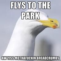 FLYS TO THIE PARK AW YISS M---------- BREADCRUMBS