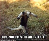 F--- VOU, I'M STILL AN ANTEATER