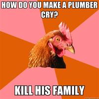 HOW DO YOU MAKE A PLUMBER CRY? KILL HIS FAMILY